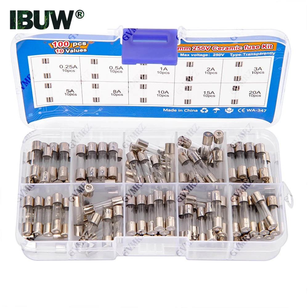 100pcs 5x20mm Quick Blow Glass Tube Fuse Assorted Kit Amp 0.25A 0.5A 1A 2A 3A 5A 8A 10A 15A 20A 250V with Storage Box