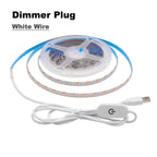5V USB 2835 LED Strip Light with DC Plug 3528 SMD Flexible Led Tape Ribbon 60LED 0.5m 1m 2m 5m Cabinet Lights Night TV Backlight