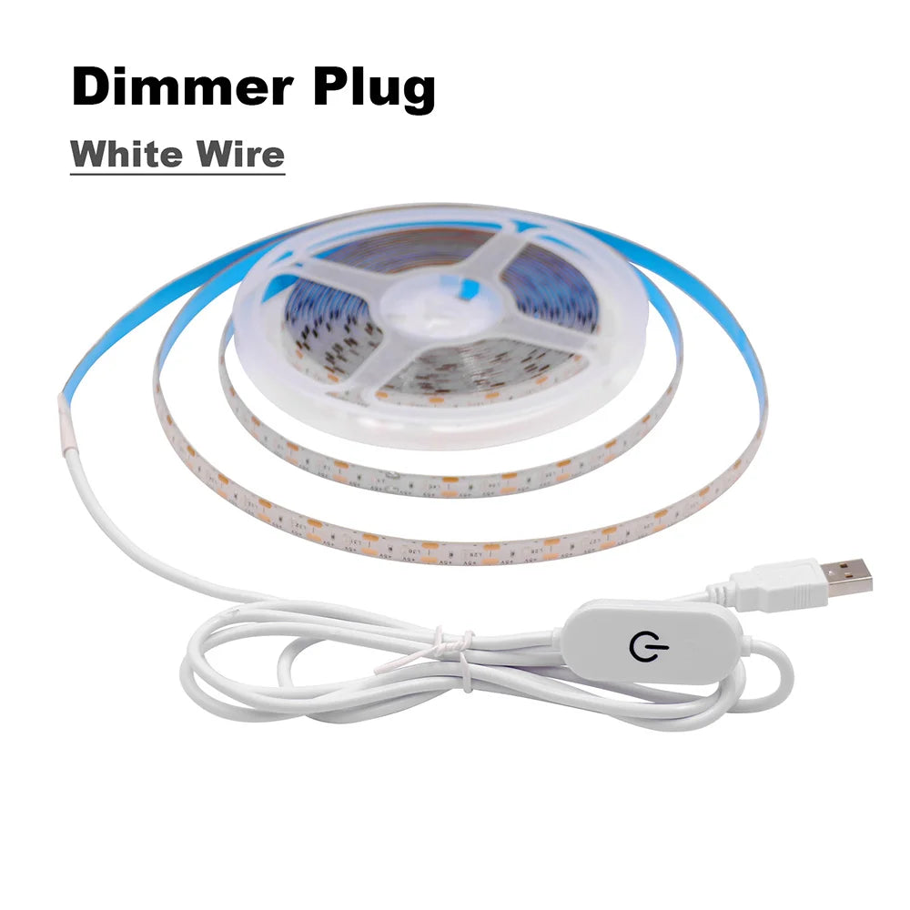 5V USB 2835 LED Strip Light with DC Plug 3528 SMD Flexible Led Tape Ribbon 60LED 0.5m 1m 2m 5m Cabinet Lights Night TV Backlight