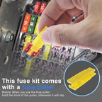 300/180/100pcs 32V Car Blade Fuse Assortment Kit Auto Truck Automotive Standar Mini Fuse Mixed Motorcycle Circuit Fuse With Box