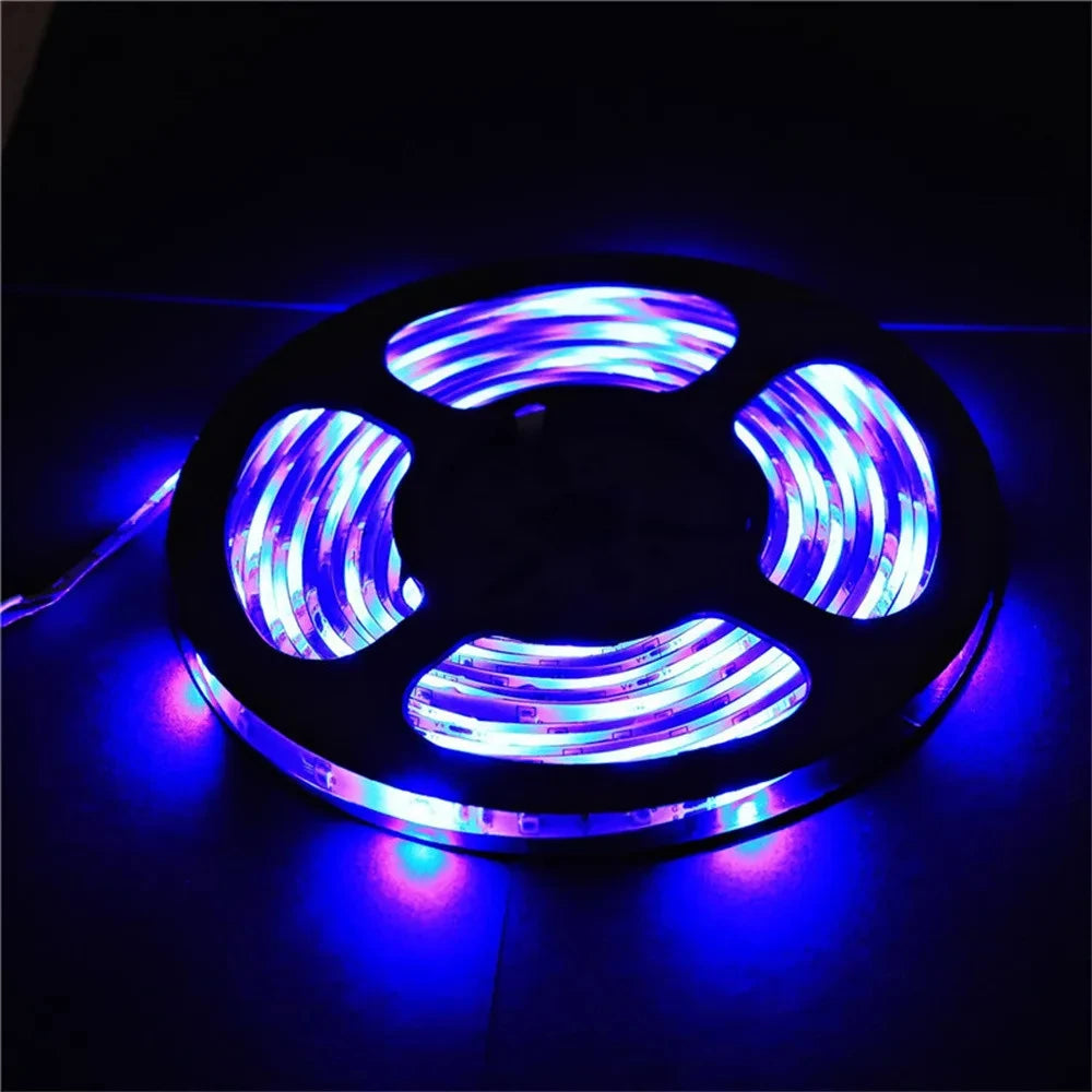 5M LED Strip Light 12V 300 Leds SMD 3528 RGB & Single Color Flexible Ribbon High Quality Home Decoration Lights