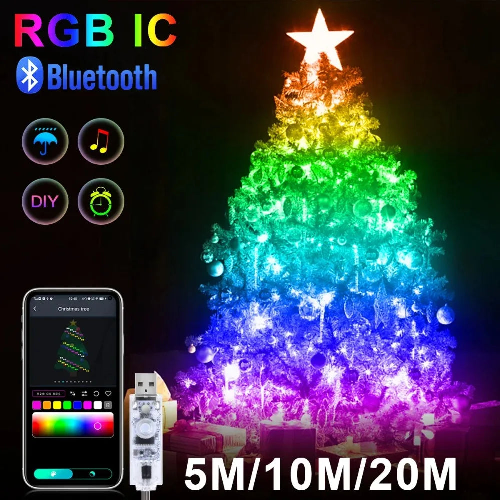RGBIC LED Lighting String Bluetooth USB Music Dream Color Light 5V Christmas Birthday Party Garland Decor Fairy Lights for Home