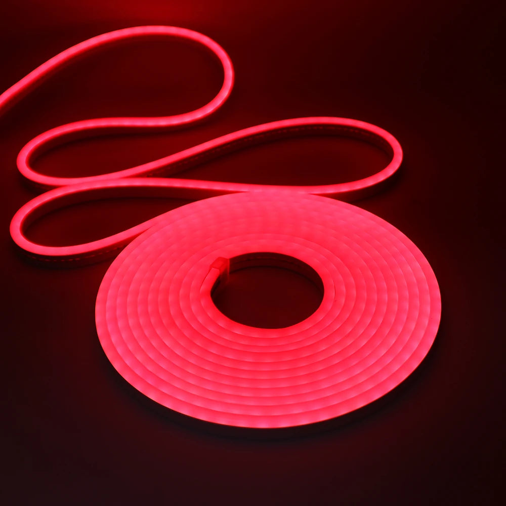 DC24V Solar LED Neon Strip Light Waterproof Warm White Blue Red Pink 6x12mm 2835 120LEDs/m Flexible Neon Rope Light Garden Decor