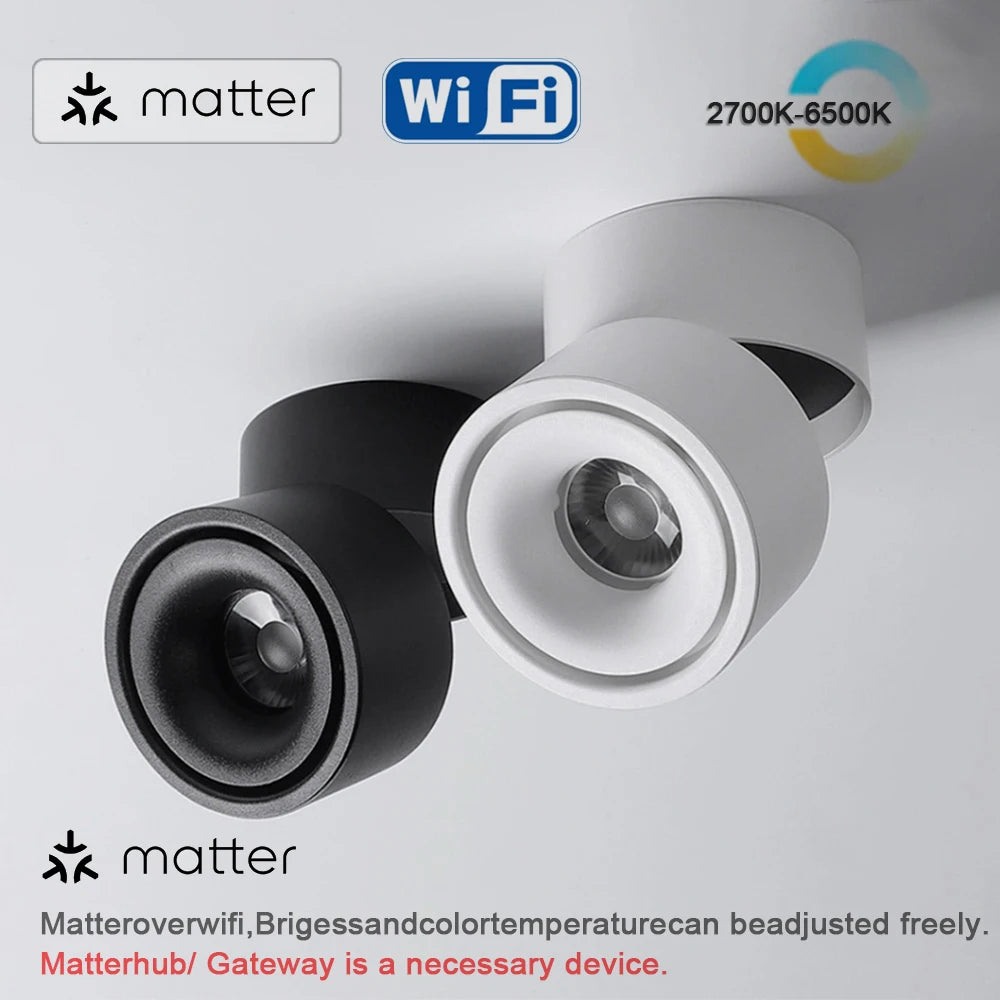 LED Surface Mounted Ceiling Light, 3CCT TUYA Bluetooth/Zigbee Matter Smart Spotlight Dimmable AC110V 220V Indoor Lighting
