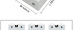 LCTC SSR Relay DC TO AC DC TO DC AC TO AC Solid State Relay Single Phase 10A 25A 40A 60A 80A 100A 120A 200A 240A LC-1-DA/AA/DD