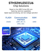 LoRaWan EBYTE E77 Series STM32 Wireless Module 433/915MHz ARM Cortex-M4 Low Power Consumption SoC Support AT Command ABP/OTAA