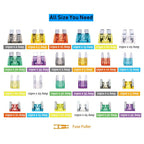 272pcs Standard & Mini & Low Profile Mini Blade Fuse Assortment, 2A 5A 10A 15A 20A 25A 30A 35A Replacement Fuses for Car Boat