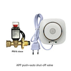 90-220Vac EU Plug WIFI Natural Gas Detector Tuya APP Push Message Coal Gas Sensor LPG Alarm NC/NO Relay Shut Off DN10/15 Valve