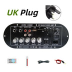 Woopker D350W HIFI Bass Power Amplifier 100W Bluetooth/USB/TF/FM Amplifier board Dual Mic AD/DC Digital Amplifier Board for home