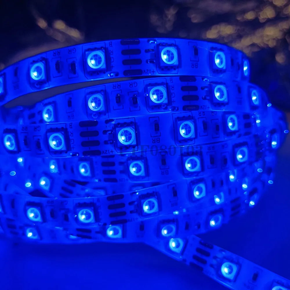 LED Strip 5050 DC 12V 24V RGB Warm White 5 Meter Waterproof Flexible Light Stripe 60LED/MLed Tape Luces Lamp Ribbon Tv Backlight