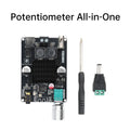 XY-1001W 100W Mono Digital Power Amplifier Board TPA3116D2 Audio Stereo Subwoofer Amplifier Board Bluetooth AUX DC 9-24V