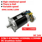 Brushless DC motor 57BLY-0730NBB/1030NBB/1230NBB, adjustable speed, with Hall sensor