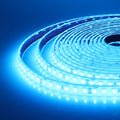 IP68 Waterproof LED Strip Lights 24V 2835 120Leds/m Warm Natural White Red Green Blue Flexible Luces Led Tape Underwater Decor