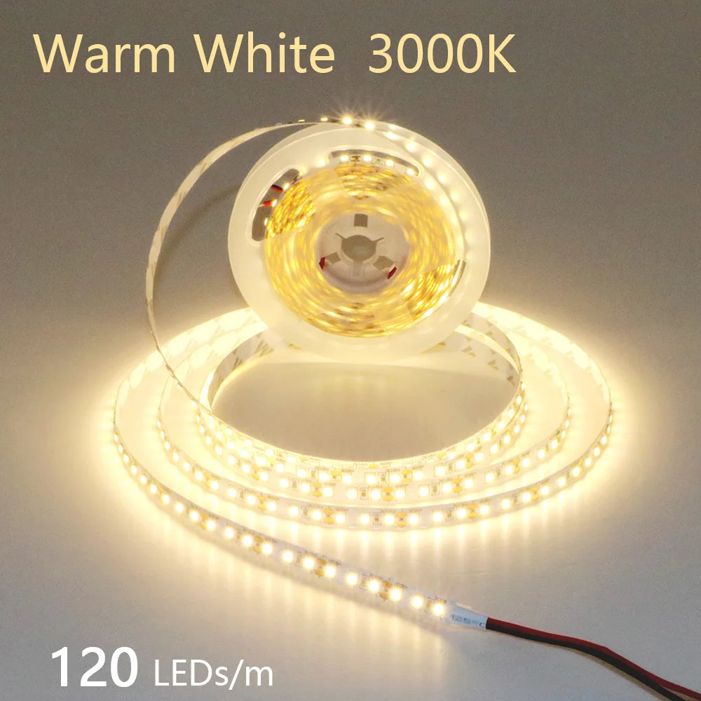 12V 24V LED Strip 2835 120LEDs/m Home Lamp Strip Pink Red Ice Blue Green Golden Yellow Orange Flexible Waterproof Soft Lamp Bar