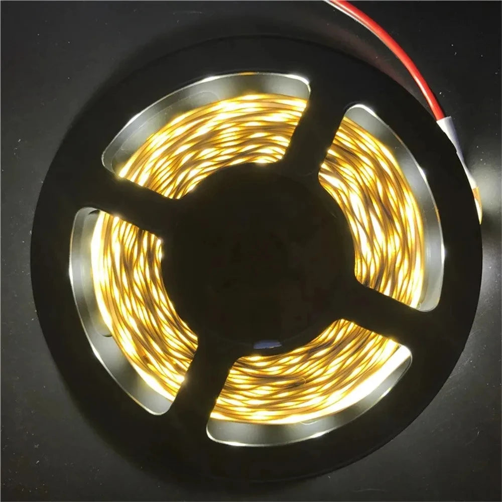 5M LED Strip Light 12V 300 Leds SMD 3528 RGB & Single Color Flexible Ribbon High Quality Home Decoration Lights