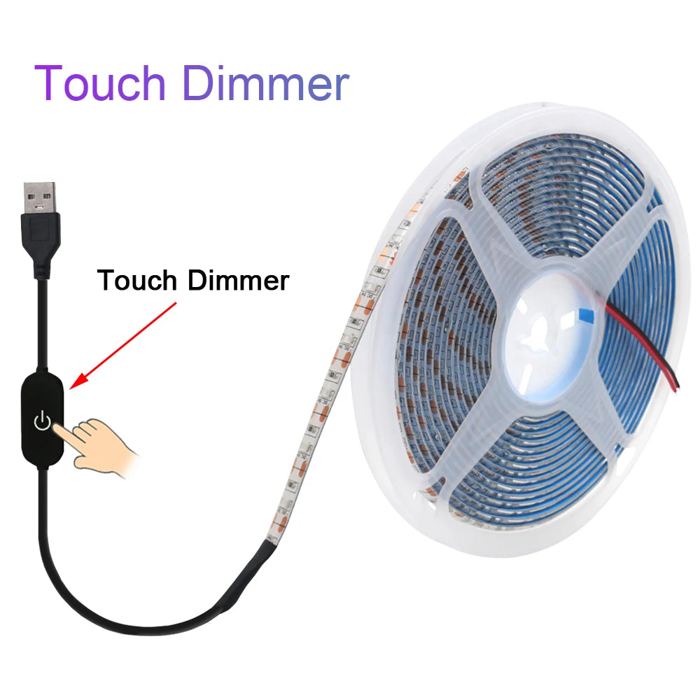 5V USB LED Strip Light Battery Power SMD 2835 3528 60LED 0.5m 1m 2m 5m Cold White Warm Blue Ribbon Cabinet Lights Night DC5V