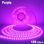 5mm 8mm LED Strip 2835 DC24V 12V 120LEDs/m Home Lamp Strips Red Ice Blue Yellow Orange Pink Flexible And Cuttable Soft Lamp Bar