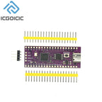 Raspberry Pi Pico or Pico W Development Board A Low-Cost High-Performance Microcontroller Board RP2040 Cortex-M0+ Dual-Core ARM