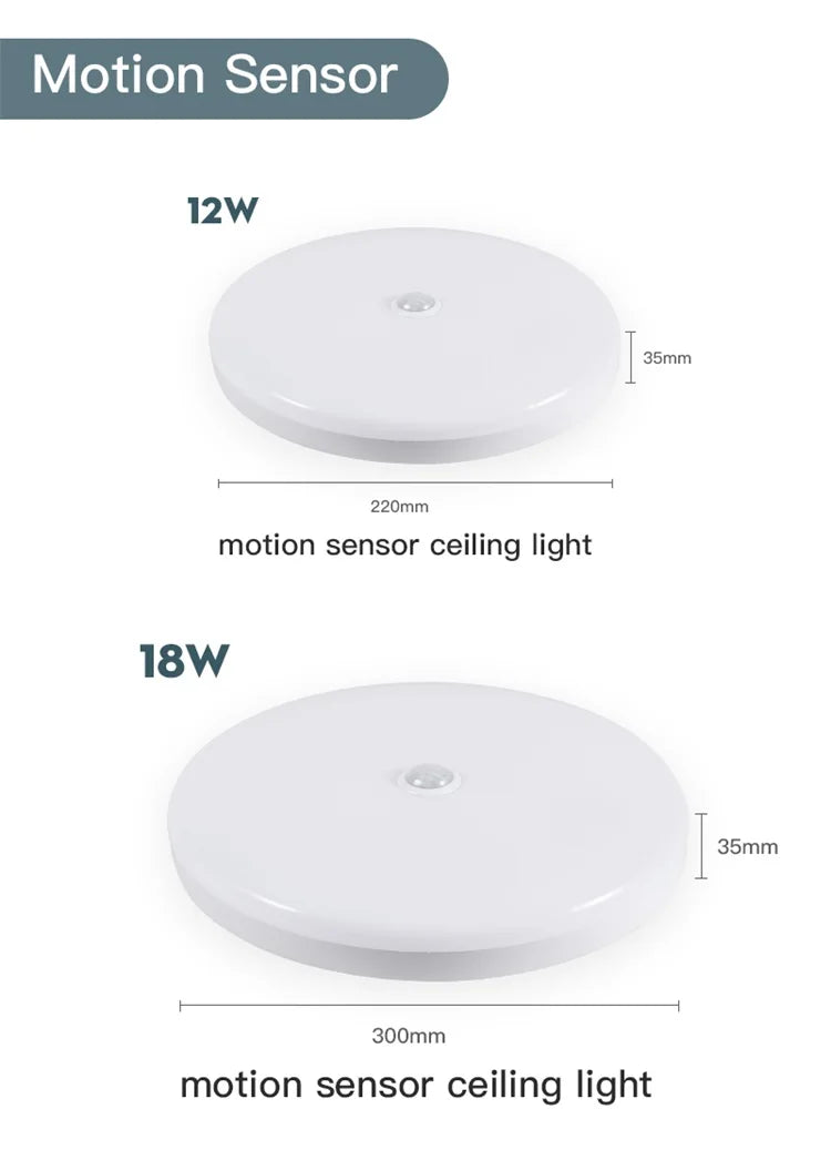 Led Ceiling Lamp With Motion Sensor 110-220V Human Infrared Smart Room Lamp 20W 40W Ceil Lamps For Entrance Balcony Corridor