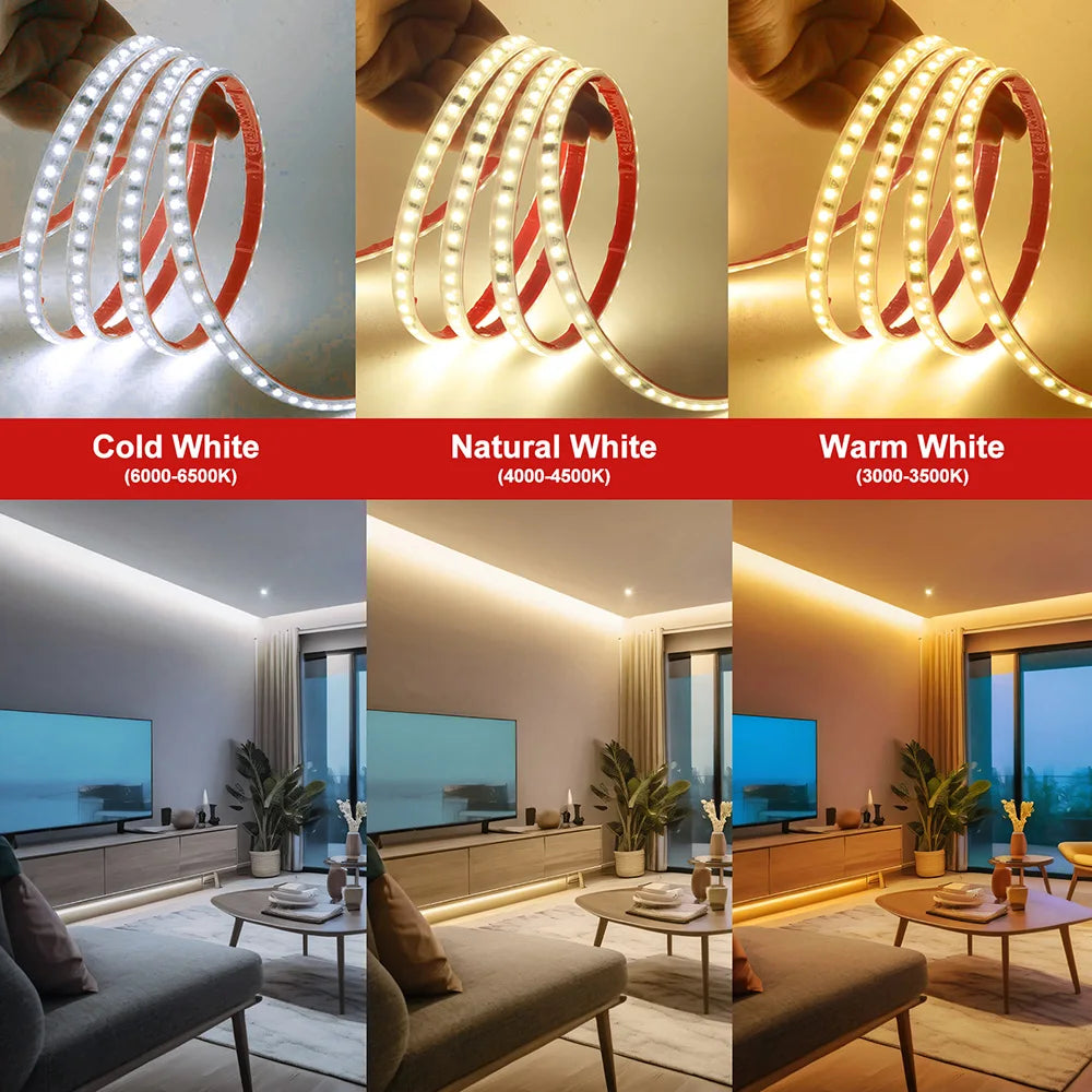 AC 2835 Led Strip Lights Dimmable 220V 230V 120 LEDs/m 0.5m 1m 2m 5m 10m 20m 50m Waterproof High Brightness Diode Tape Adhesive