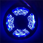 5M LED Strip Light 12V 300 Leds SMD 3528 RGB & Single Color Flexible Ribbon High Quality Home Decoration Lights
