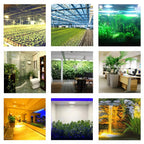 Hydroponice 3W 5W 10W 20W 30W 50W 100W COB LED Grow Light Chip Full Spectrum 400-840nm for Indoor Plant Seedling Growing Flower