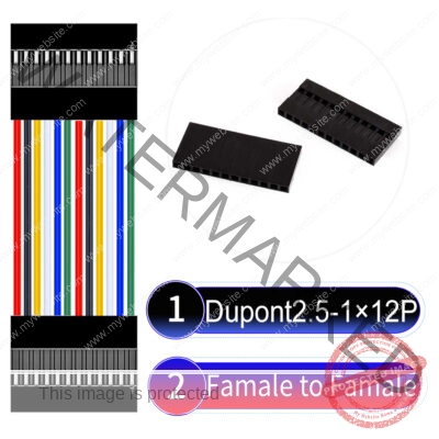 Dupont 2.54mm Female to Female 1×12Pin Cable